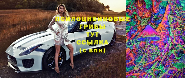 apvp Горно-Алтайск