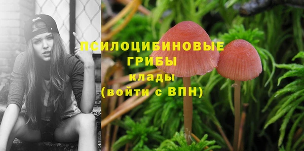 apvp Горно-Алтайск