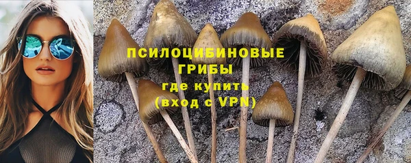 мет Горняк